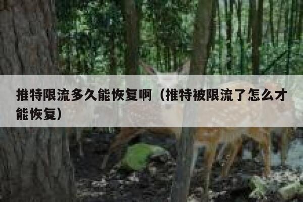 推特限流多久能恢复啊（推特被限流了怎么才能恢复） 第1张