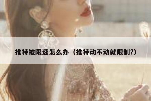 推特被限速怎么办（推特动不动就限制?） 第1张