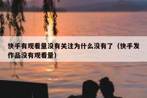 快手有观看量没有关注为什么没有了（快手发作品没有观看量） 第1张