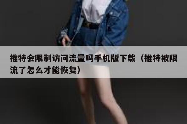 推特会限制访问流量吗手机版下载（推特被限流了怎么才能恢复） 第1张