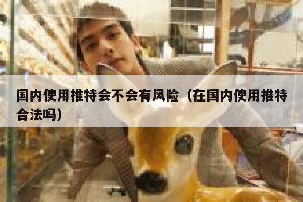 国内使用推特会不会有风险（在国内使用推特合法吗） 第1张