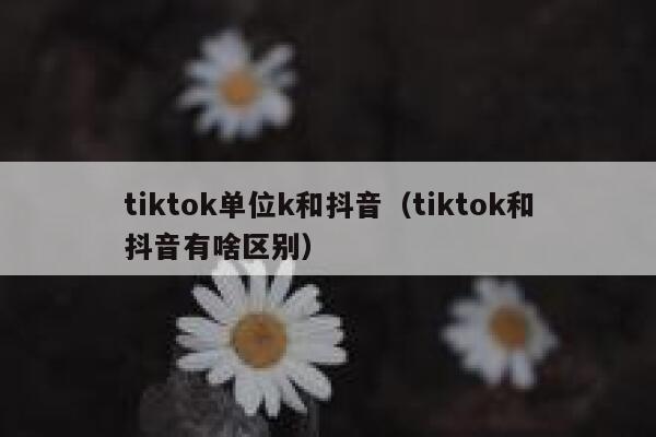 tiktok单位k和抖音（tiktok和抖音有啥区别） 第1张