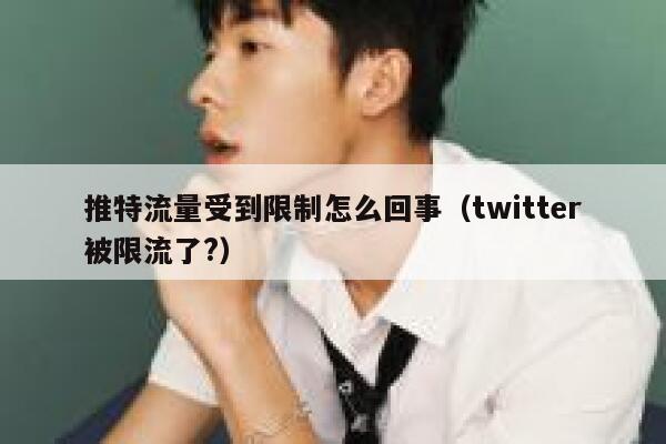 推特流量受到限制怎么回事（twitter被限流了?） 第1张