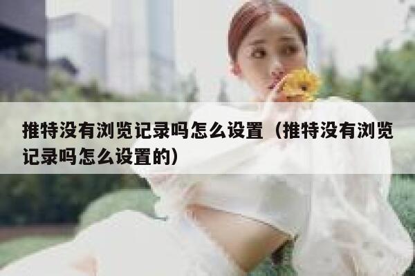 推特没有浏览记录吗怎么设置（推特没有浏览记录吗怎么设置的） 第1张