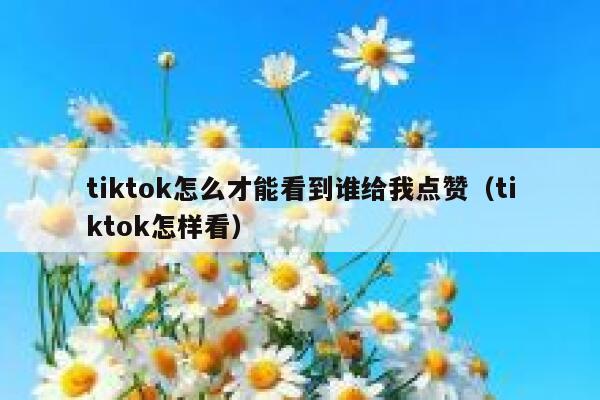 tiktok怎么才能看到谁给我点赞（tiktok怎样看） 第1张