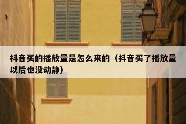 抖音买的播放量是怎么来的（抖音买了播放量以后也没动静） 第1张