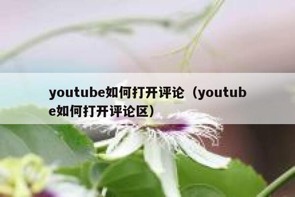 youtube如何打开评论（youtube如何打开评论区） 第1张