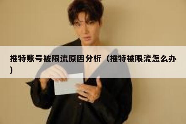 推特账号被限流原因分析（推特被限流怎么办） 第1张