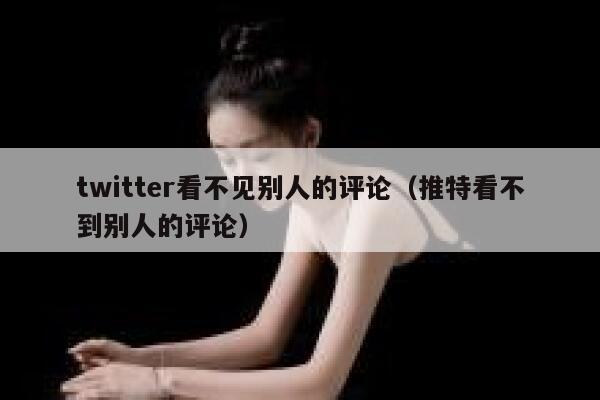 twitter看不见别人的评论（推特看不到别人的评论） 第1张