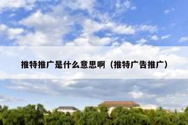 推特推广是什么意思啊（推特广告推广） 第1张