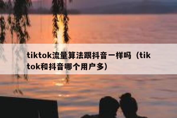 tiktok流量算法跟抖音一样吗(tiktok和抖音哪个用户多) 第1张 tiktok流量算法跟抖音一样吗(tiktok和抖音哪个用户多) 第1张