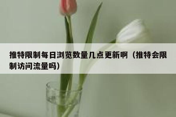 推特限制每日浏览数量几点更新啊(推特会限制访问流量吗) 第1张 推特限制每日浏览数量几点更新啊(推特会限制访问流量吗) 第1张