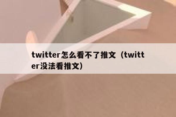 twitter怎么看不了推文（twitter没法看推文） 第1张