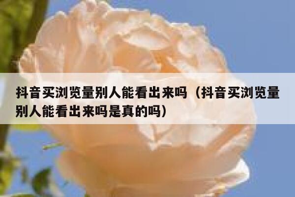 抖音买浏览量别人能看出来吗（抖音买浏览量别人能看出来吗是真的吗） 第1张