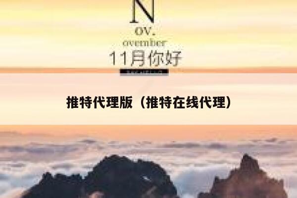 推特代理版（推特在线代理） 第1张