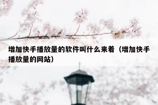 增加快手播放量的软件叫什么来着（增加快手播放量的网站） 第1张