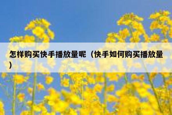 怎样购买快手播放量呢（快手如何购买播放量） 第1张