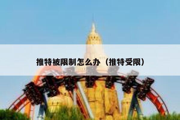 推特被限制怎么办（推特受限） 第1张