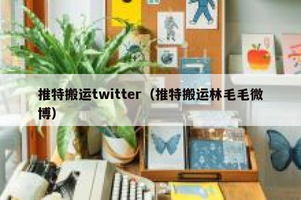 推特搬运twitter(推特搬运林毛毛微博) 第1张 推特搬运twitter(推特搬运林毛毛微博) 第1张