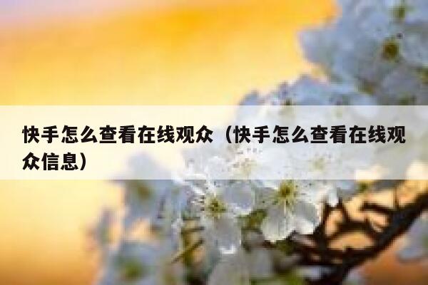 快手怎么查看在线观众（快手怎么查看在线观众信息） 第1张