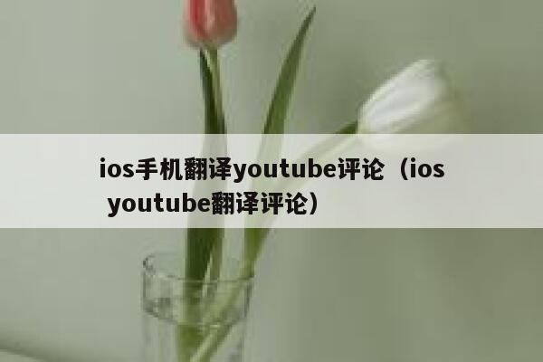 ios手机翻译youtube评论（ios youtube翻译评论） 第1张
