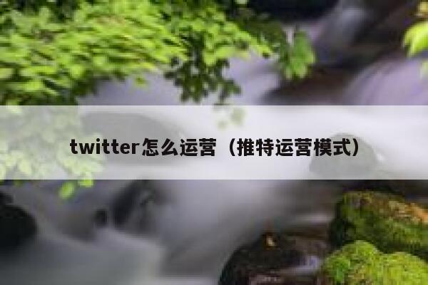 twitter怎么运营（推特运营模式） 第1张