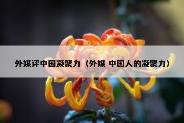 外媒评中国凝聚力（外媒 中国人的凝聚力） 第1张