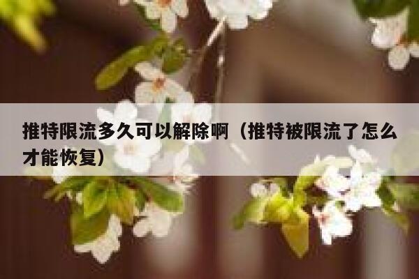 推特限流多久可以解除啊（推特被限流了怎么才能恢复） 第1张