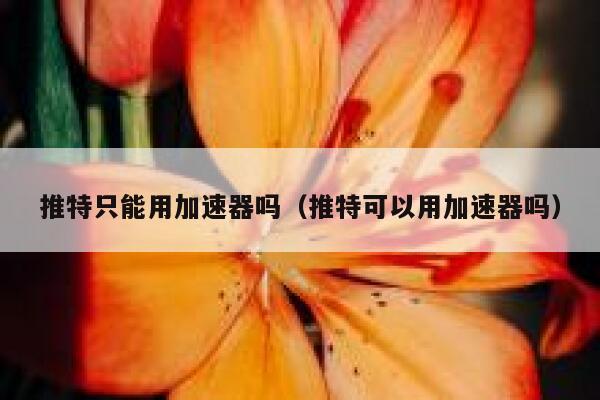 推特只能用加速器吗（推特可以用加速器吗） 第1张