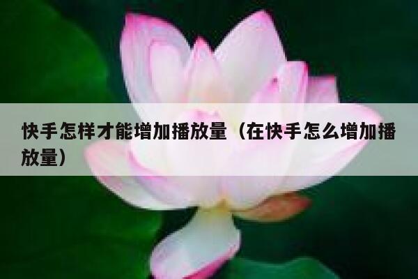 快手怎样才能增加播放量（在快手怎么增加播放量） 第1张