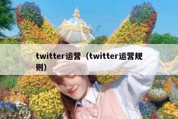 twitter运营（twitter运营规则） 第1张