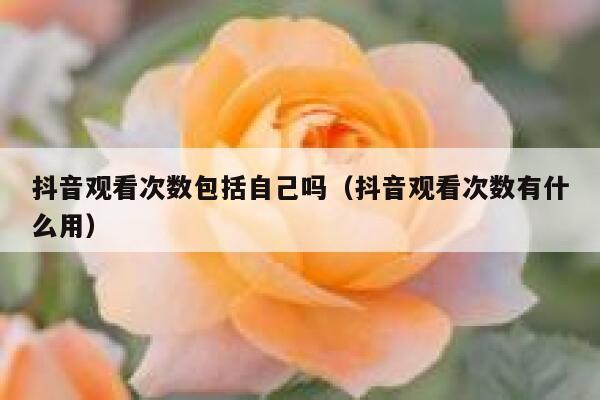 抖音观看次数包括自己吗（抖音观看次数有什么用） 第1张