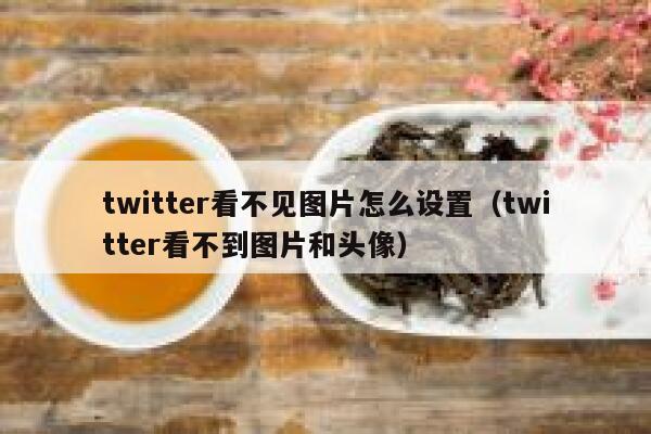 twitter看不见图片怎么设置（twitter看不到图片和头像） 第1张