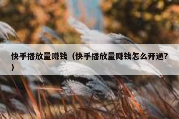 快手播放量赚钱（快手播放量赚钱怎么开通?） 第1张