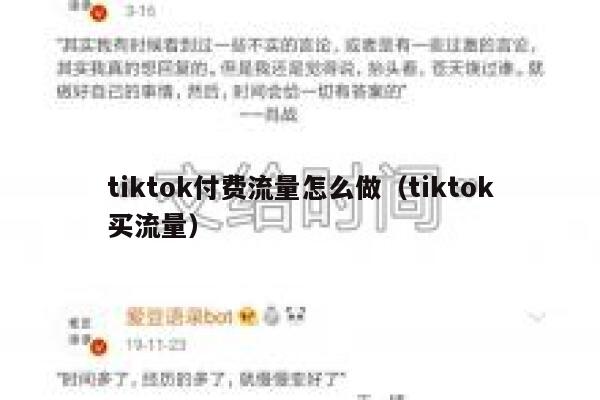tiktok付费流量怎么做(tiktok买流量) 第1张 tiktok付费流量怎么做(tiktok买流量) 第1张