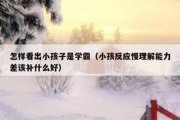 怎样看出小孩子是学霸(小孩反应慢理解能力差该补什么好) 第1张 怎样看出小孩子是学霸(小孩反应慢理解能力差该补什么好) 第1张