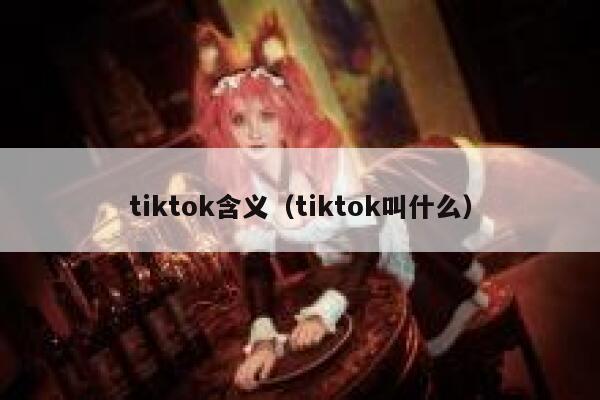 tiktok含义（tiktok叫什么） 第1张