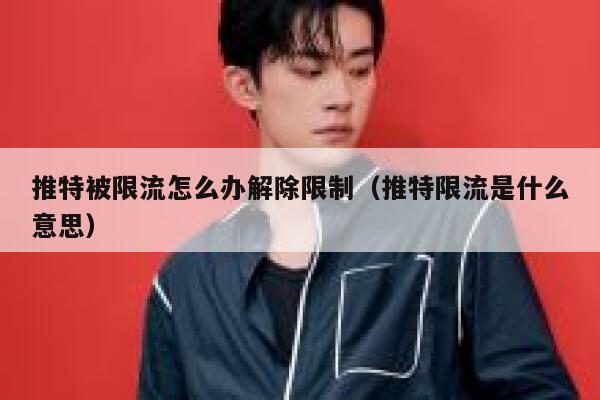 推特被限流怎么办解除限制（推特限流是什么意思） 第1张