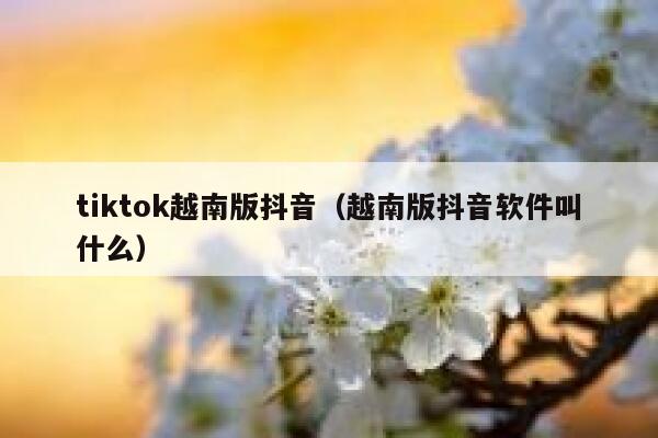 tiktok越南版抖音（越南版抖音软件叫什么） 第1张