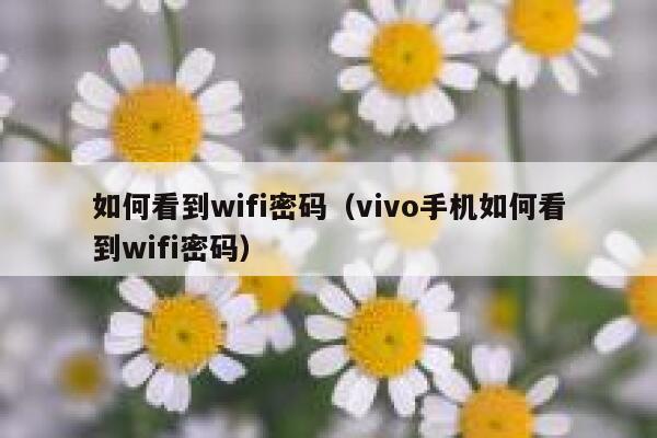 如何看到wifi密码（vivo手机如何看到wifi密码） 第1张
