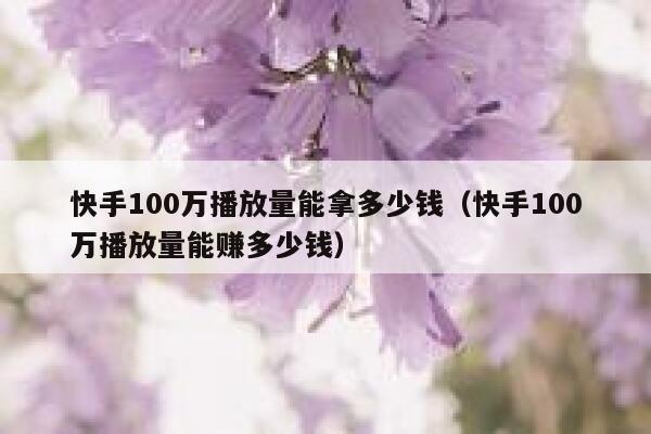 快手100万播放量能拿多少钱（快手100万播放量能赚多少钱） 第1张