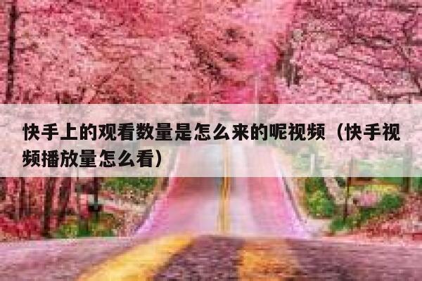 快手上的观看数量是怎么来的呢视频（快手视频播放量怎么看） 第1张