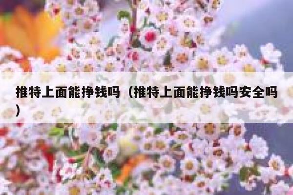 推特上面能挣钱吗(推特上面能挣钱吗安全吗) 第1张 推特上面能挣钱吗(推特上面能挣钱吗安全吗) 第1张