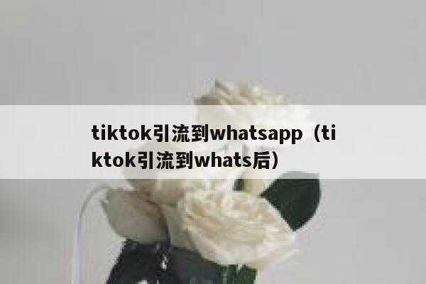 tiktok引流到whatsapp（tiktok引流到whats后） 第1张