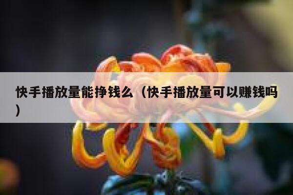 快手播放量能挣钱么（快手播放量可以赚钱吗） 第1张