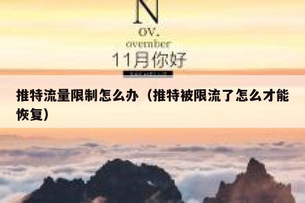 推特流量限制怎么办（推特被限流了怎么才能恢复） 第1张