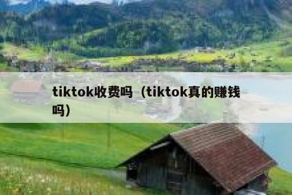 tiktok收费吗（tiktok真的赚钱吗） 第1张
