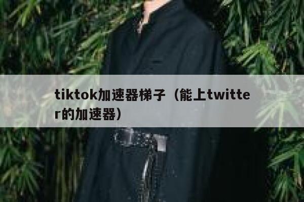 tiktok加速器梯子（能上twitter的加速器） 第1张