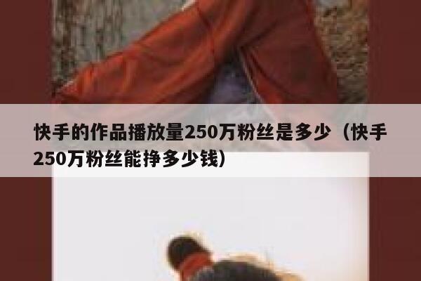 快手的作品播放量250万粉丝是多少（快手250万粉丝能挣多少钱） 第1张