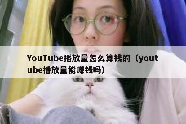YouTube播放量怎么算钱的（youtube播放量能赚钱吗） 第1张